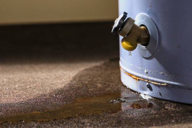 Best Residential water damage restoration  in Sauk Vlage, IL