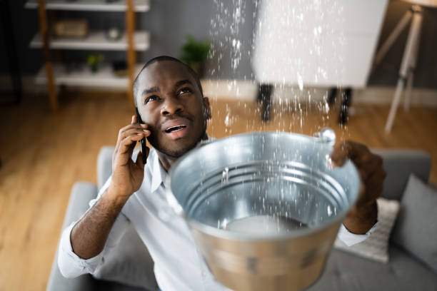 Best Flood restoration services  in Sauk Vlage, IL
