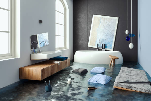 Reliable Sauk Village, IL Water damage restoration Solutions