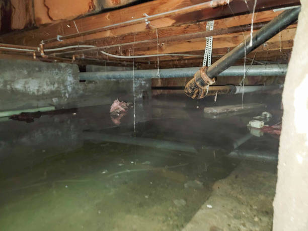 Best Sewage cleanup and water damage restoration  in Sauk Vlage, IL