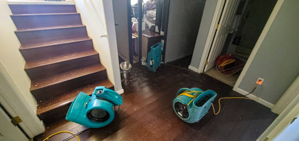 Best Emergency water damage restoration  in Sauk Vlage, IL