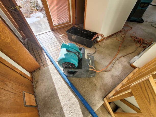 Reliable Sauk Village, IL Water damage restoration Solutions