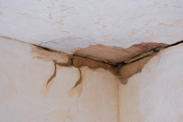 Best Commercial water damage restoration  in Sauk Vlage, IL