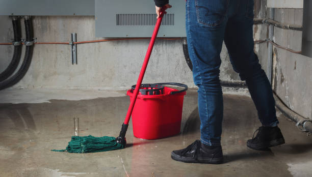 Best Water damage restoration experts  in Sauk Vlage, IL