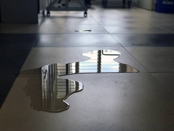 Best Water damage restoration near me  in Sauk Vlage, IL