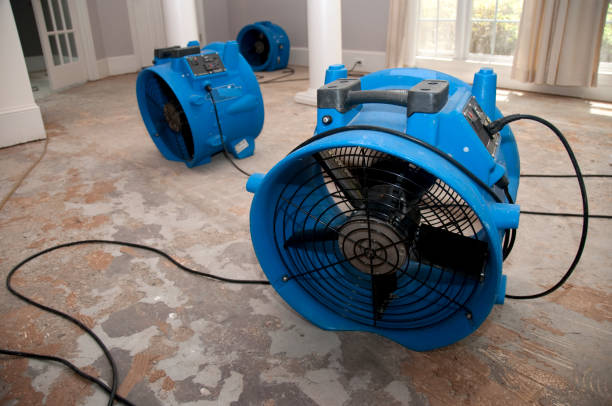 Best Local water damage restoration  in Sauk Vlage, IL