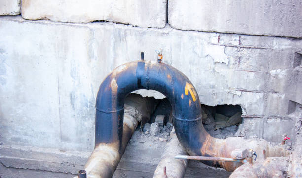 Best Mold removal after water damage  in Sauk Vlage, IL