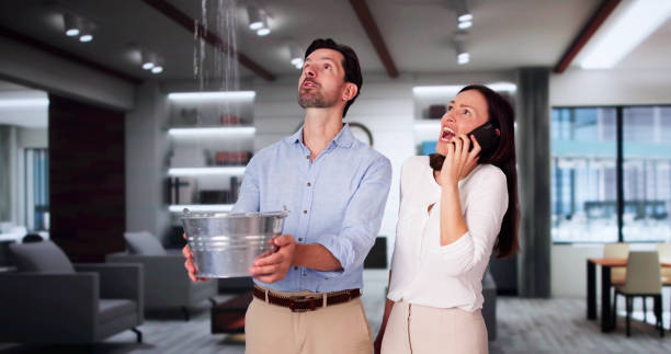Best Water damage contractors near me  in Sauk Vlage, IL