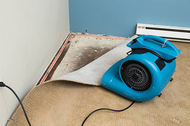 Best Carpet water damage restoration  in Sauk Vlage, IL