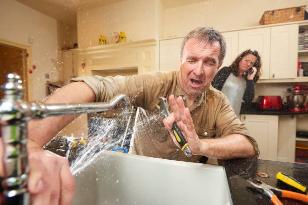 Carpet water damage restoration in Sauk Village, IL